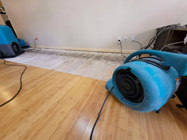 Professional Water Removal technician working in Stewart, OH
